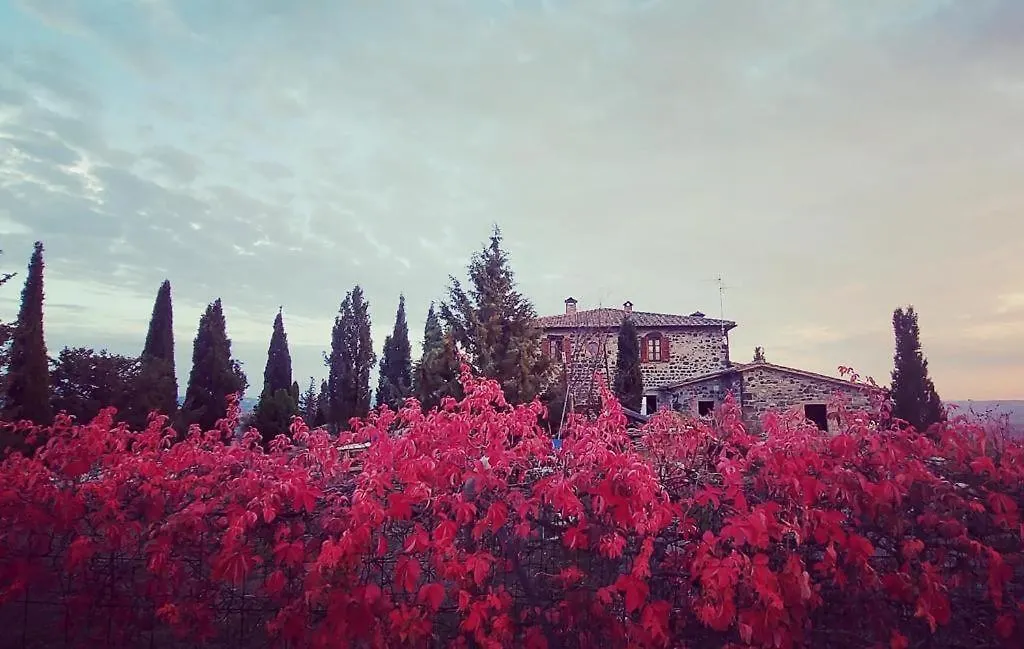 Casa al Maestro B&B Radicofani